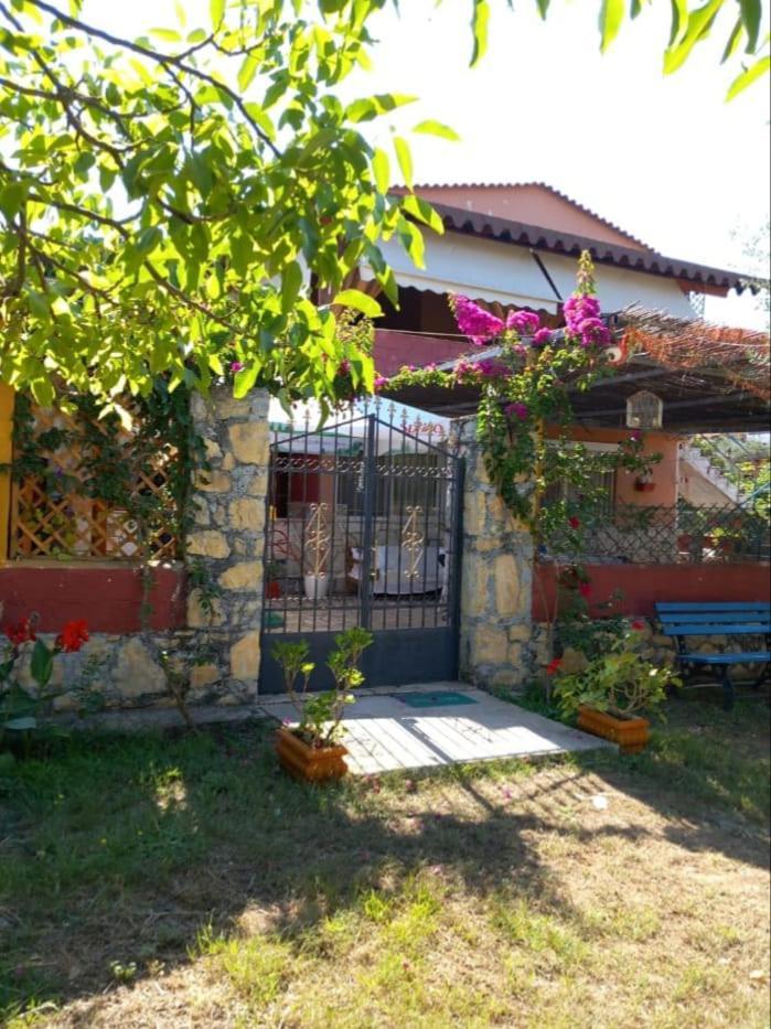 Vila Gjoka Himare Exteriör bild
